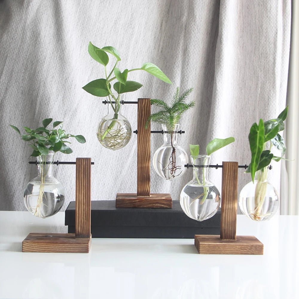 Creative Glass Desktop Planter Bulb Vase Wooden Stand Hydroponic Plant Container Home Tabletop Decor Vases - Bavaro Shop